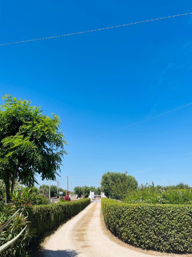 B&B Nonno Ciccio Monopoli Zewnętrze zdjęcie